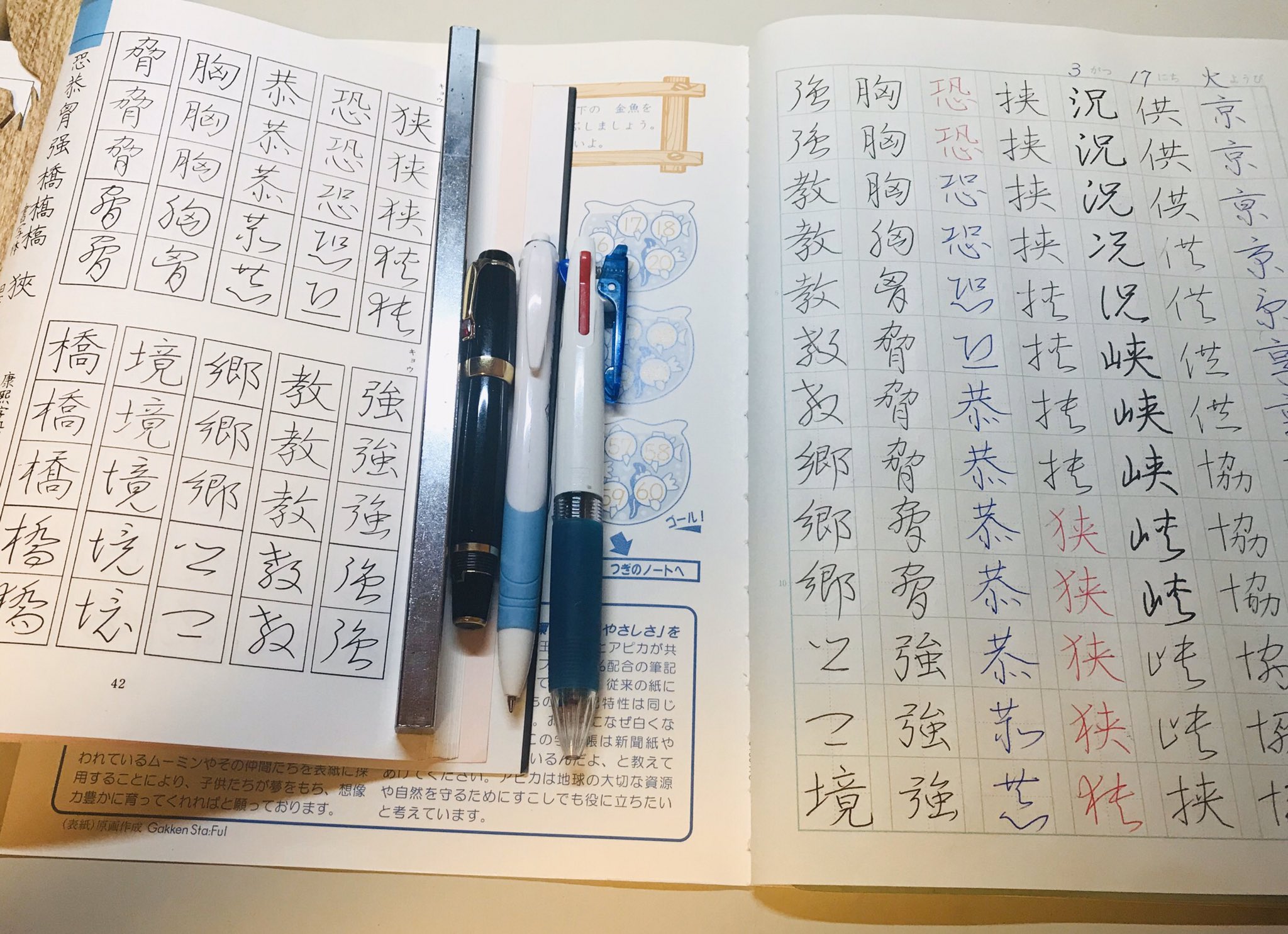 らくだ 今晩の漢字書取り練習 やっと91字詰め 漢字練習帳終了 O 色んなボールペンや万年筆での書き心地を感じながら ボールペンは なかなか減らない パイロットペン習字a系統 T Co Fq1qd3nqu1 Twitter