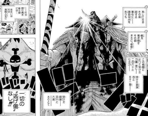 白ヒゲの背中に一切の逃げ傷がなかった結果？山爺の背中は傷だらけwww