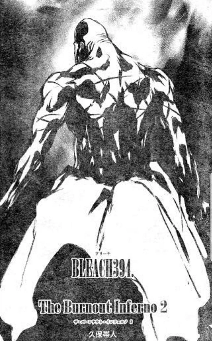 白ヒゲの背中に一切の逃げ傷がなかった結果？山爺の背中は傷だらけwww