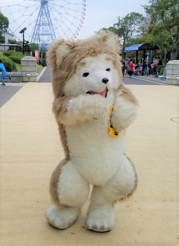 犬一 (@ken_ichi_dog) / Posts / X