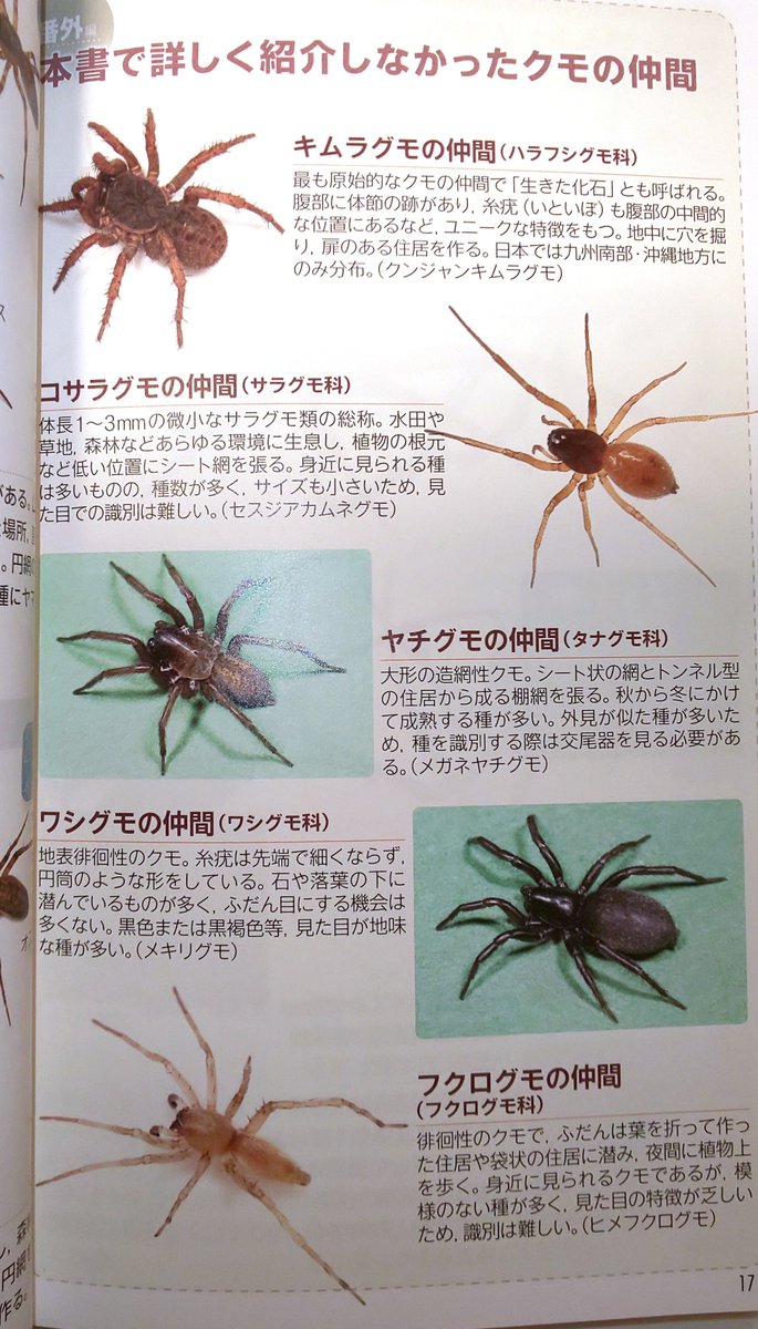 ট ইট র オワコマ あっ違うんですね W 混乱するといけないので消します
