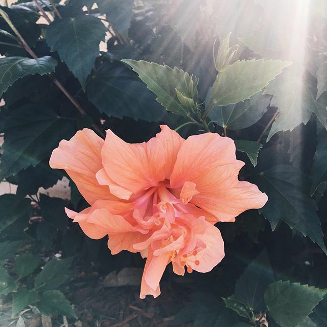 Home after the sunshine. ift.tt/33riboG