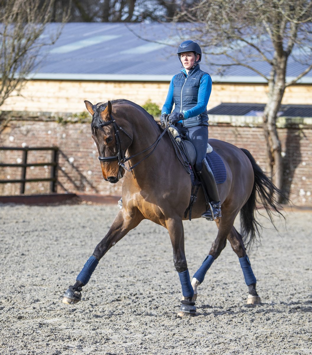 “Dengie Performance Fibre is the perfect blend of alfalfa with tasty grass. Adonis B is the ultimate fusspot, but he now asks for his dinner instead of turning his nose up.” Anna Miller, Dressage Rider &amp; Trainer Discover more: bit.ly/PerformanceFib…

📸 <a href="/EquusPhotoUK/">Emily Gailey</a>