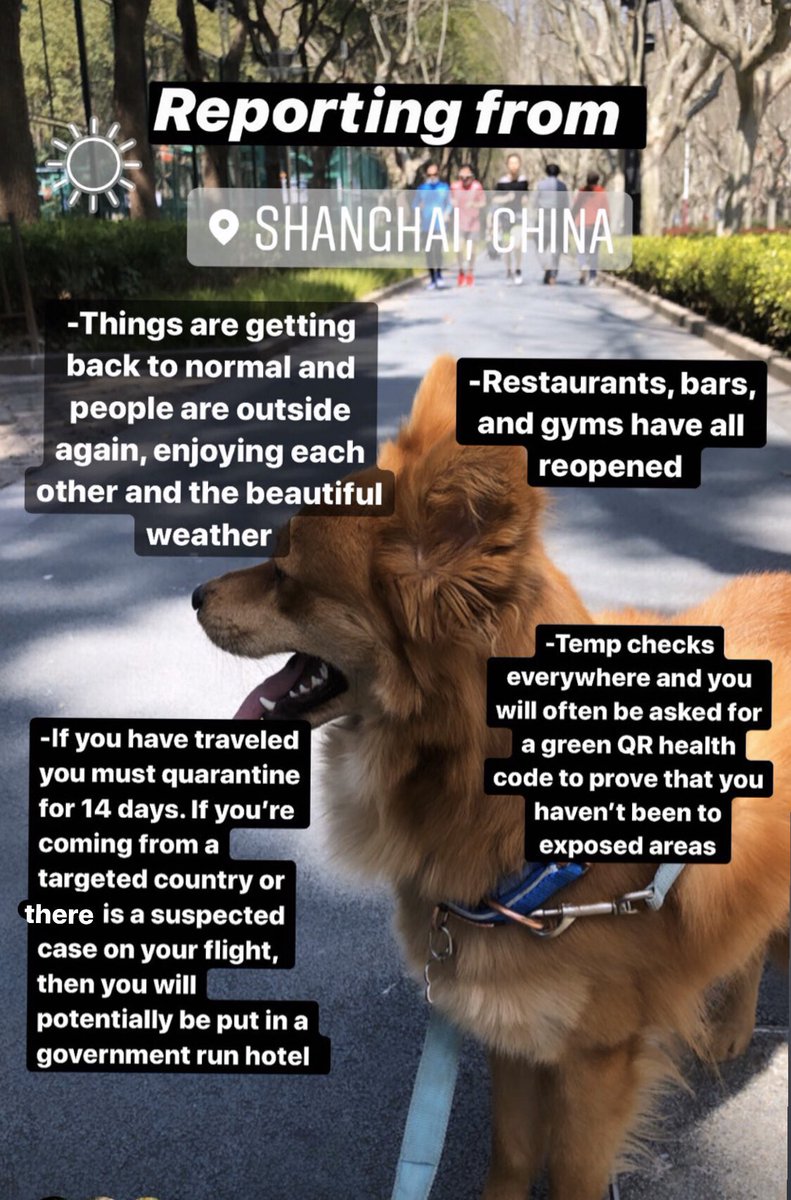 emme_z's tweet photo. My fiancé and I have spent the last two years living in Shanghai. We’ve spent most of the time during the outbreak in China. Reporting in from SH ❤️ https://t.co/v8MGcHpaTk