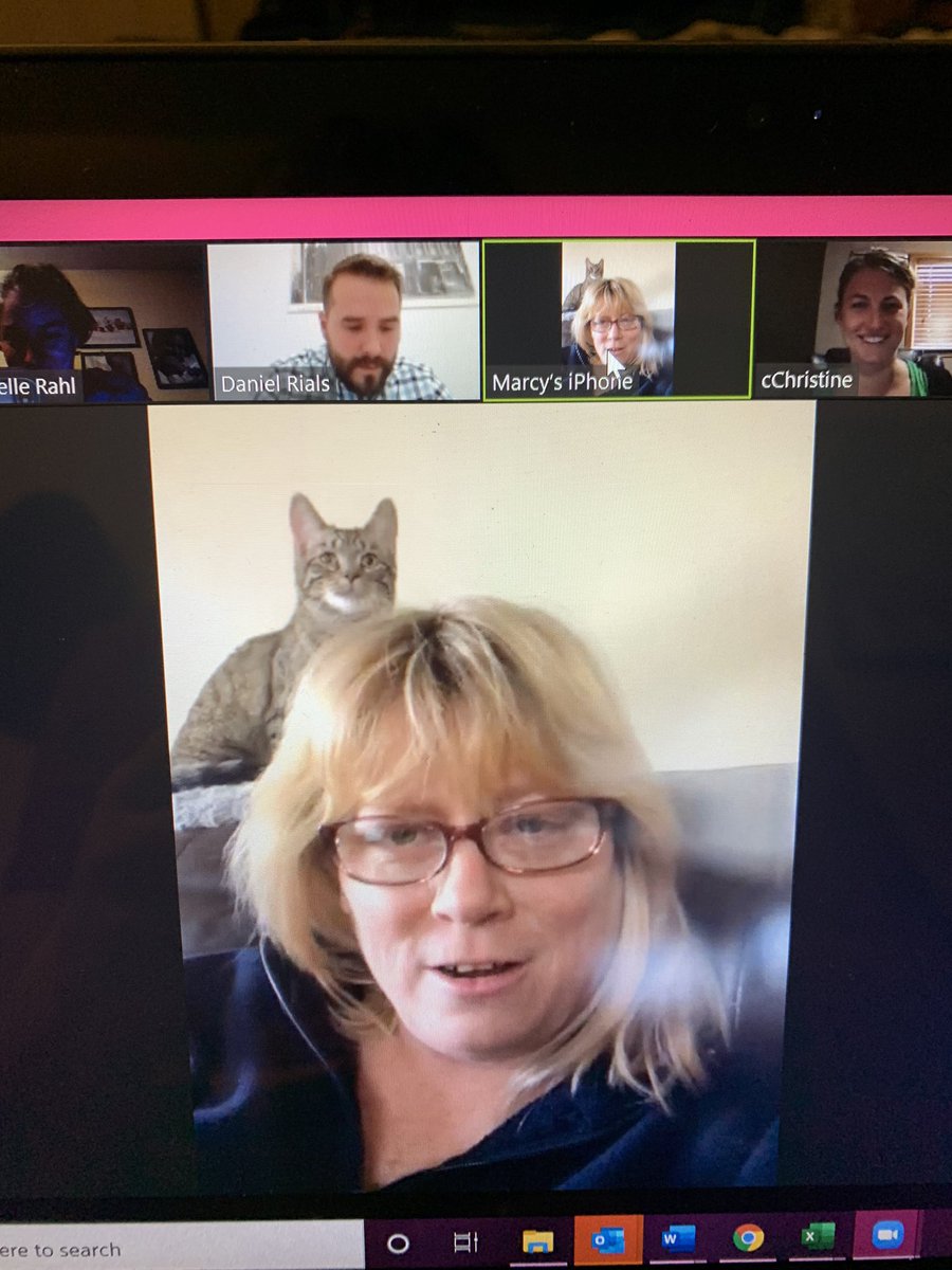 MichelleRahl's tweet photo. The first #zoommeeting of the @LansingChamber membership team went really well! We even recruited a new team member.....welcome, Mabel the cat! #remotework #youmakeitwork #morecatsjoineduslater @CZarkovich2 @DanielRials Marcy Rzepka https://t.co/avbVMxNTkf