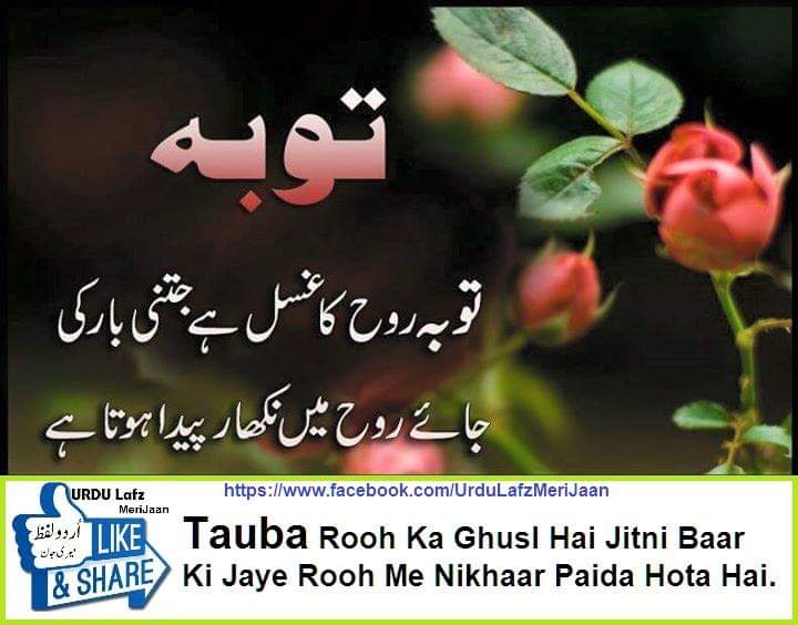 usmanali0000000's tweet photo. #رجوع_الی_اللہ
#teamzsf https://t.co/EyGy7oi2Ki