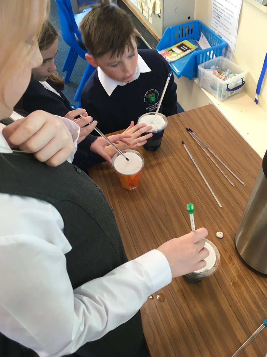 SpringCottagePS's tweet image. Science in 5T this afternoon; we tested thermal insulators and conductors. #springcottagescience #springcottage5T