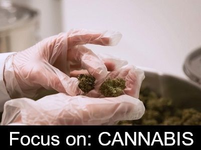 IonizationLabs's tweet image. Learn more about the core foundational tests that are required in every state where #cannabis is legal. #thctesting buff.ly/2VWYNOq