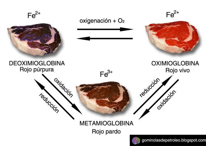 El color de la carne no está directamente relacionado con su calidad. Depende del estado químico de la mioglobina y del hierro que contiene->puede pasar de púrpura (recién cortada) a rojo vivo (un rato al aire) y pardo (si pasa más tiempo). Es reversible  #gominolasdepeseta