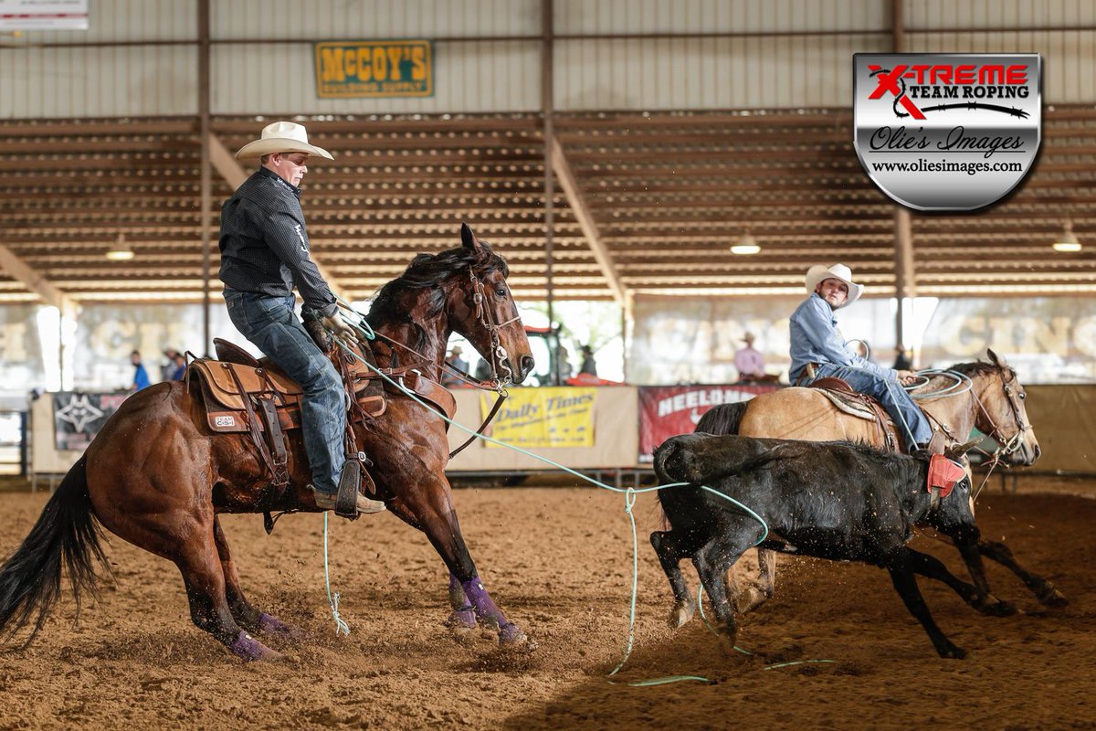 Oliesimages's tweet photo. Back with #WhereAmIGoingWednesday! 
We'll be down in San Antonio with X-Treme Team Roping for the South Texas Championships! Will we see you there? 

#teamroping #xtremeteamroping #oliesimages #photography https://t.co/WnYiwM5gQM