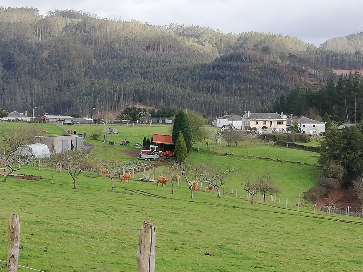 Arisfeed's tweet photo. En momentos como este, se valora mucho más la tranquilidad del rural; ese nunca pasa nada de nuestras aldeas, y ojo; que aquí la gente debe salir de casa; ya que a los animales hay que cuidarlos los 365 días del año. #Ourol #Orol https://t.co/xE5BQSY8cm
