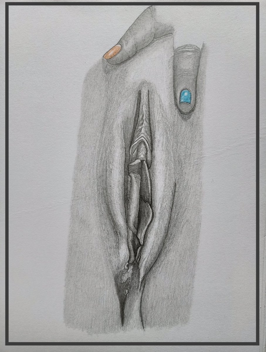 neilskinart's tweet photo. I finished this drawing for @MissPeachyLady . Thank you for the beautiful reference.
.
.
.
#yoni #vulva #vagina #femaleflower #loveyourself https://t.co/NBz4Y0FcF1