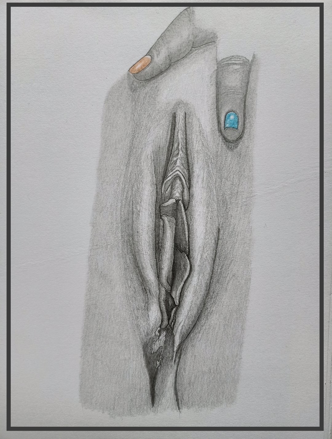 Erotic art vulva