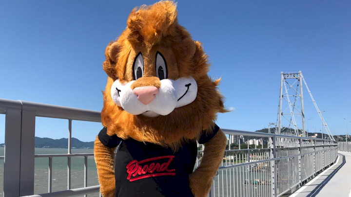 pmscoficial's tweet image. Proerd completa 22 anos em Santa Catarina.
pm.sc.gov.br/noticias/proer… #proerd #aniversario #prevencao #pmsc #presenteseprotegendo