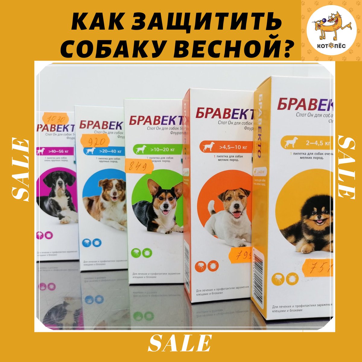 kotopes_nv's tweet photo. Что делать? Как защитить любимого питомца?
Купить собаке «Бравекто Спот Он».
Благодаря высокой эффективности препарат «Бравекто Спот Он»  зарекомендовал себя среди ветеринаров нашей страны. 
С наступлением весны  в наших Зооцентрах проходит акция: Максимально сниженная цена. https://t.co/mrx0r1BzCj
