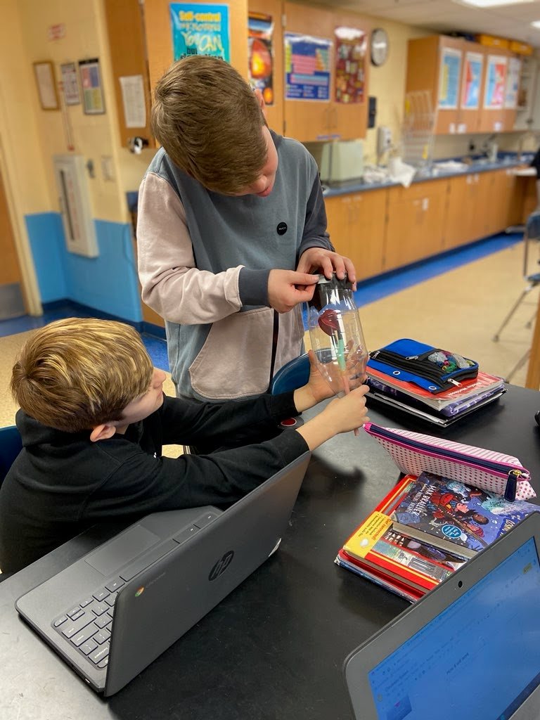 AvonTigers's tweet photo. G6 hard at work on functional models of human body systems! Can't wait for the finished products!! #HandsOnSTEAM #ForTheLoveOfScience #DocRocks https://t.co/lVee8NZGGT