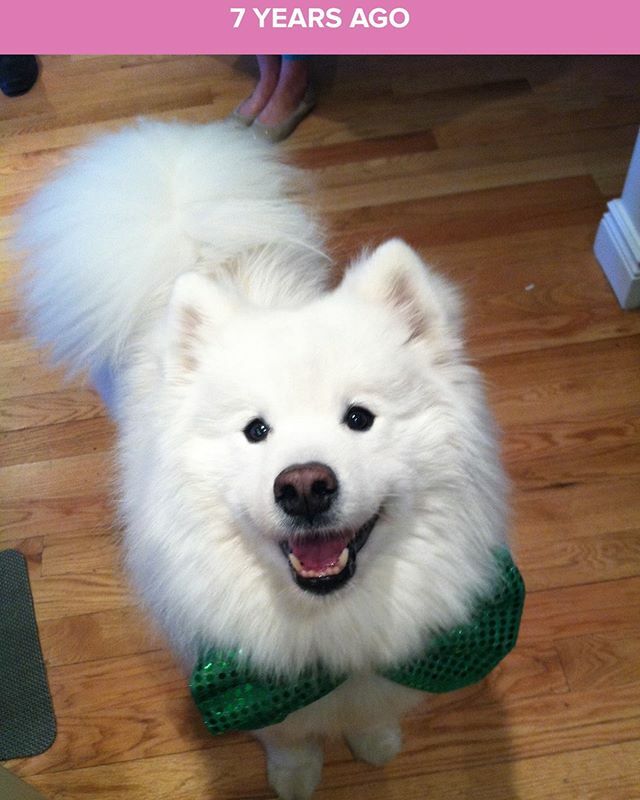 Bowties are cool ☘️