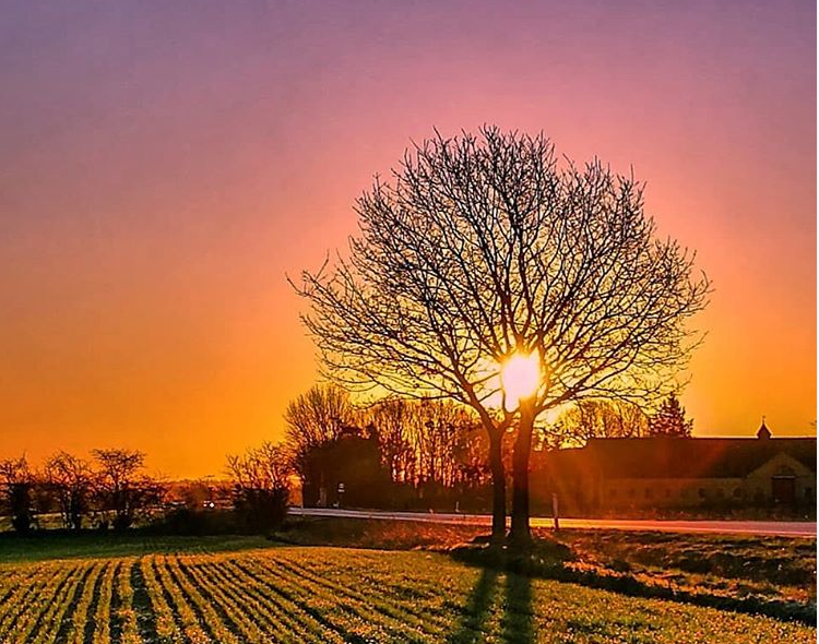 dmidk's tweet photo. Månedsprognosen dufter langt væk af forår.
Den indeholder alt fra nattefrost til tocifrede temperaturer i dagtimerne, og så får solen bedre plads...🌱🌤️🌷
Læs uge for uge her: https://t.co/aAJ90GxeC9
#månedsprognose #langtidsprognoser
📸: Hanne Ratajczak https://t.co/O1AgCRYZ09
