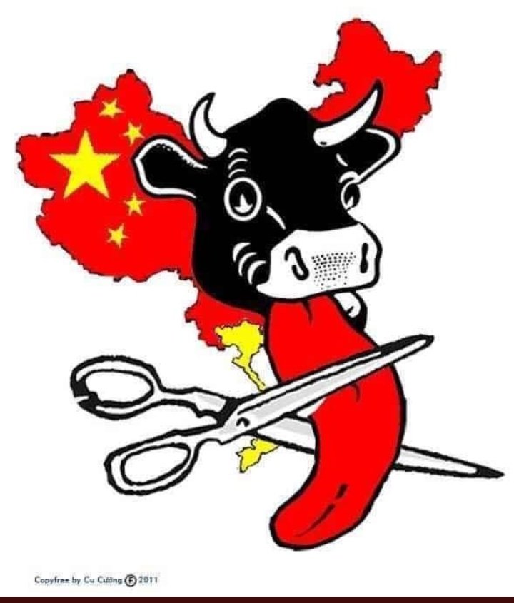 ArianhChan's tweet photo. #ChinaStopsLying 
Không có gì đáng tự hào khi những động vật cấp cao như giống người Trung Quốc lại tự nhận quốc gia mình là cái đầu bò và có một cái lưỡi ngu ngốc thích la liếm vơ vét một cách khốn nạn đâu.
Ngừng lươn lẹo đi!
#HoangSaTruongSabelongtoVietNam https://t.co/kEPAIHxNLa