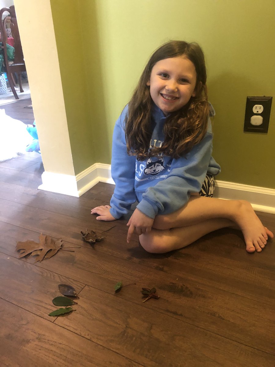 5Dibert5's tweet photo. Playing specials bingo! @SHEASLab Brooklyn sorted leaves by color, shape, size, texture, and wetness! https://t.co/Hnie3Q7adw