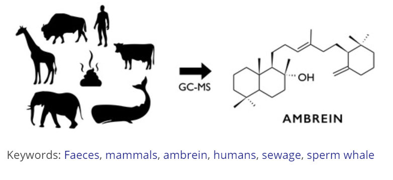Simon Ingram (@drsimoningram) on Twitter photo Our paper on the presence of ambrein (a precursor of ambergris) in mammal poo is out now. I challenge anyone to come up with a better figure and more eclectic set of key words in a paper! <a href="/MarineVerts/">Marine Verts Unit</a> <a href="/BMMRO/">BMMRO</a> <a href="/PlymUniResearch/">Plymouth Research</a> doi.org/10.1080/147864… Our paper on the presence of ambrein (a precursor of ambergris) in mammal poo is out now. I challenge anyone to come up with a better figure and more eclectic set of key words in a paper! <a href="/MarineVerts/">Marine Verts Unit</a> <a href="/BMMRO/">BMMRO</a> <a href="/PlymUniResearch/">Plymouth Research</a> doi.org/10.1080/147864…