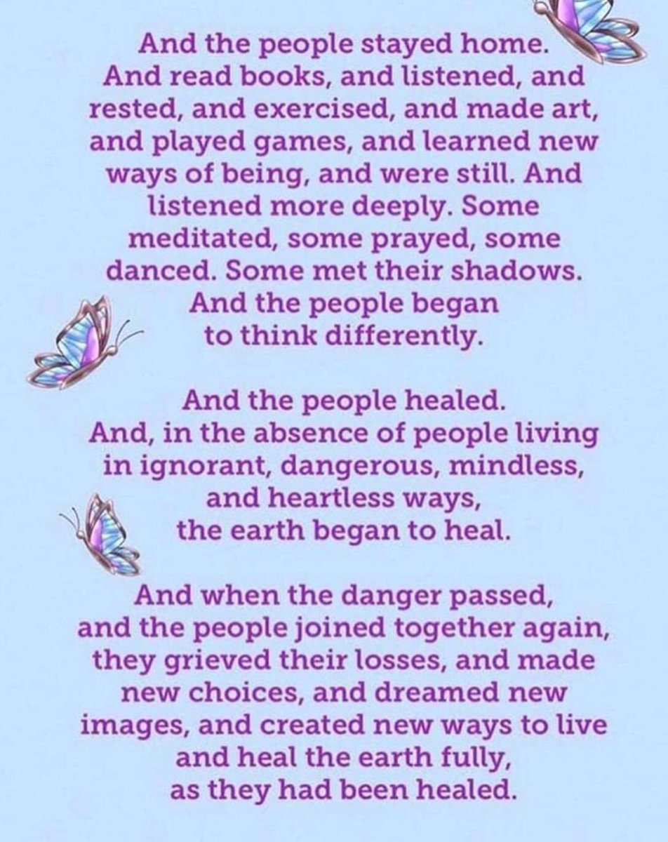 Graham Hubbard (@gray_hub) on Twitter photo 