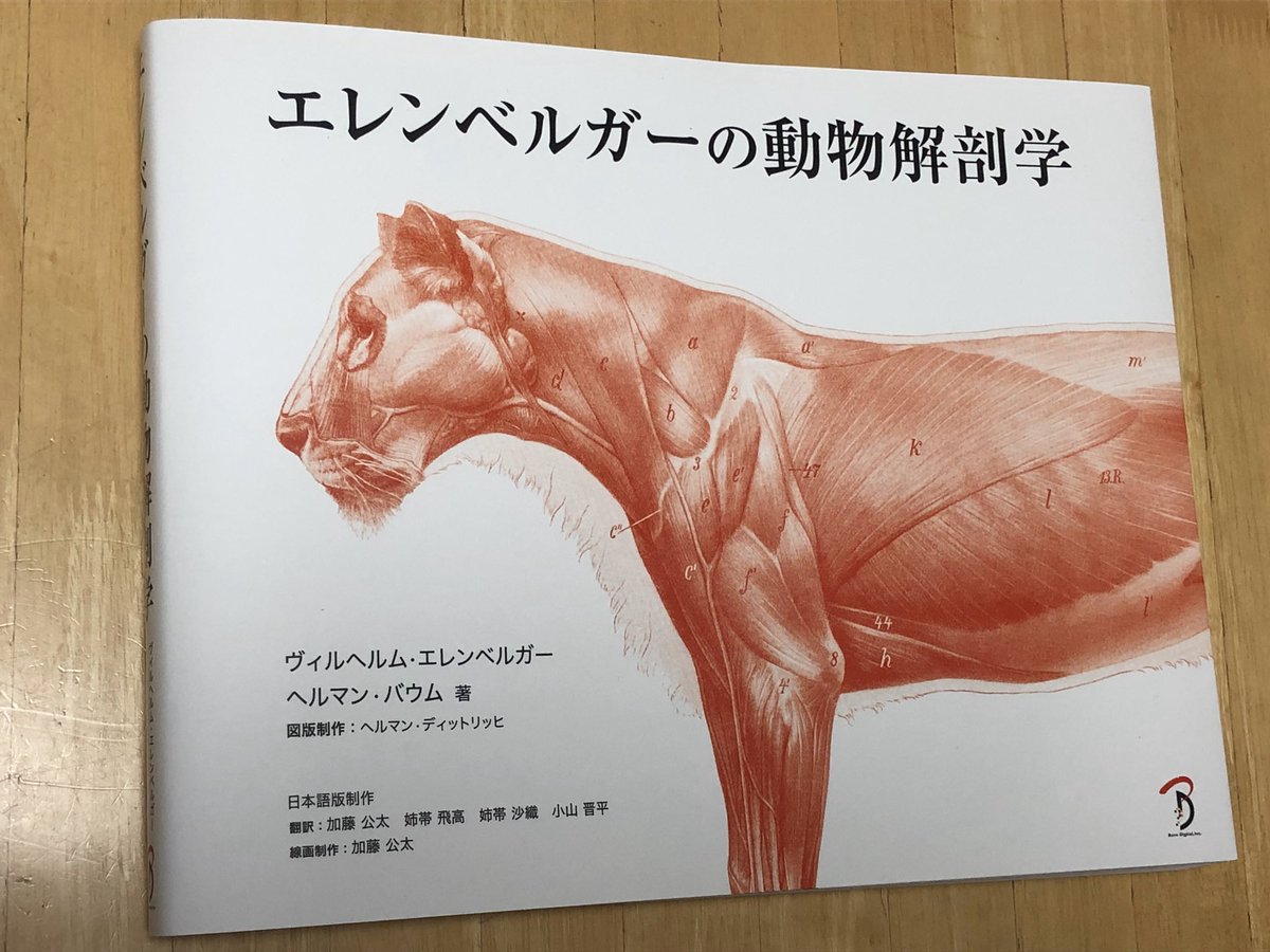 早良 朋 へんなものみっけ در توییتر エレンベルガーの動物解剖学 大変面白いです 画像はライオンです 筋肉 動物 の身体って なんて精密に出来ているのかしら と 正にからくり仕掛けですよね いや 逆かもですね 骨格 本当につま先立ちで歩いてるんだ