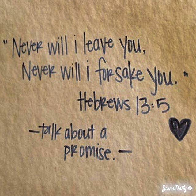 Prodigy Boats tweet media