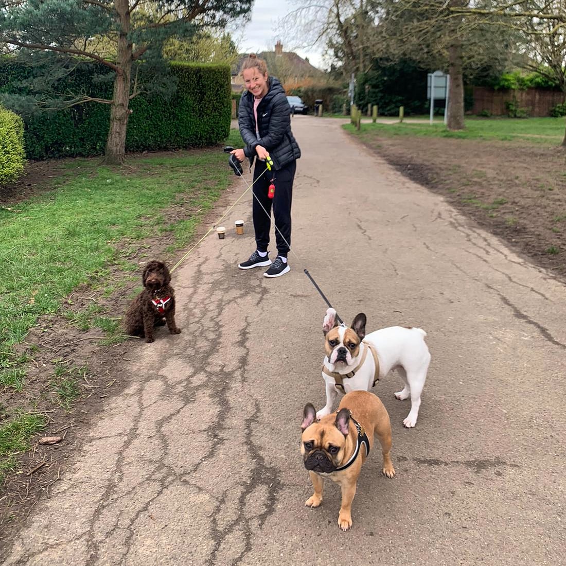 Meet Dot, Willow and Matilda🐶🐕 
Doggie day care now available in Maidenhead and surrounding areas. 
In partnership with <a href="/MaddieHinch/">Maddie Hinch</a> and <a href="/MarkGleghorne/">Mark Gleghorne</a> 🤣

#staysafe #keepsmiling #doggiedaycare