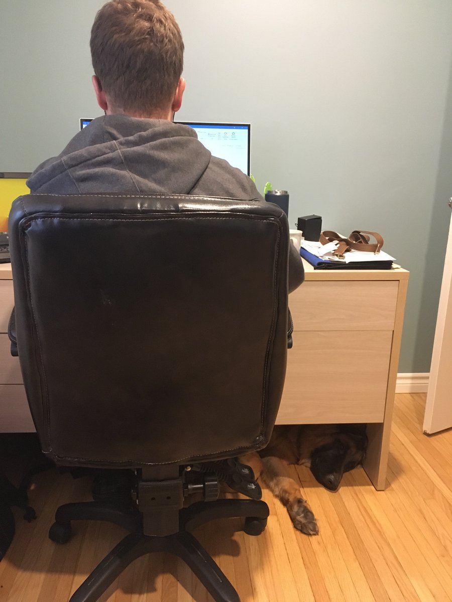 Looks like someone snuck in to disturb our self isolation in the office... 😂