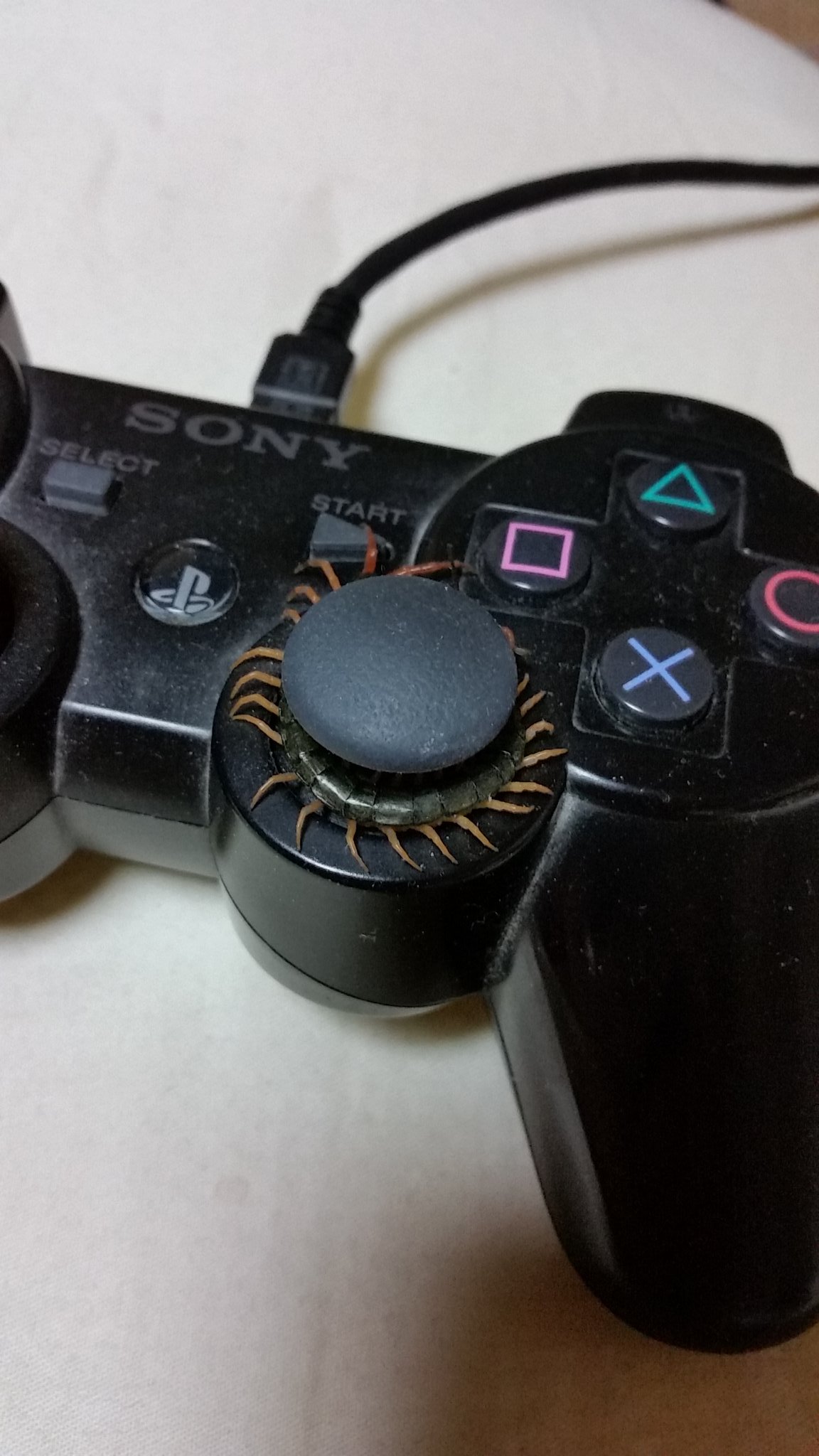 閲覧注意 プレステでdvd鑑賞中に一時停止しようとコントローラーに手を伸ばしたら ぎょえええ えのげ 閲覧注意 プレステでdvd鑑賞中に一時停止しようとコントローラーに手を伸ばしたら ぎょえええ えのげ