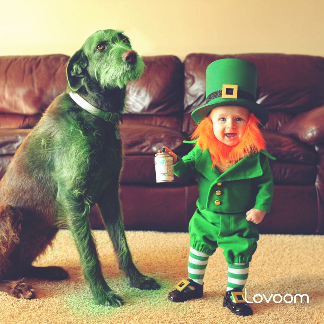 lovelovoom's tweet photo. HAPPY ST. PATTY’S DAY! From Lovoom! Love your pet.

#lovoom #loveyourpet #petcam #pet #dog #love  #nationalpuppyday  #petlover #amazon https://t.co/6u8g1jcAoq