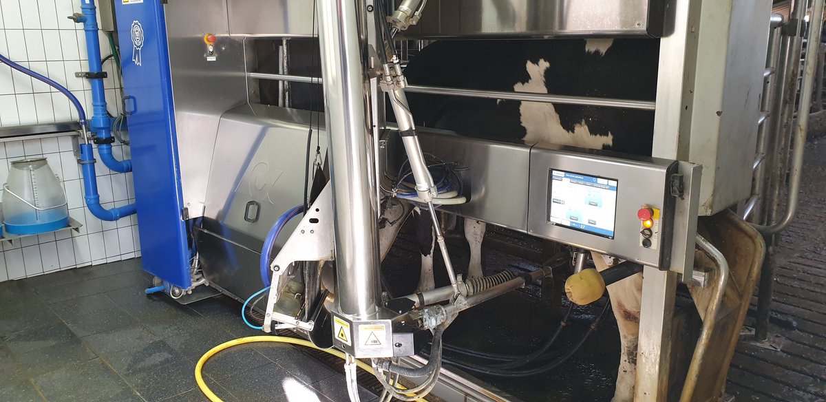 HupkesKarolien's tweet image. #Thuiswerk @Hippekoeien ons &apos;personeel&apos; melkt gewoon door... #Robotmelken 
#Coronavirus  #Geenvoedselcrisis
#Staypositive