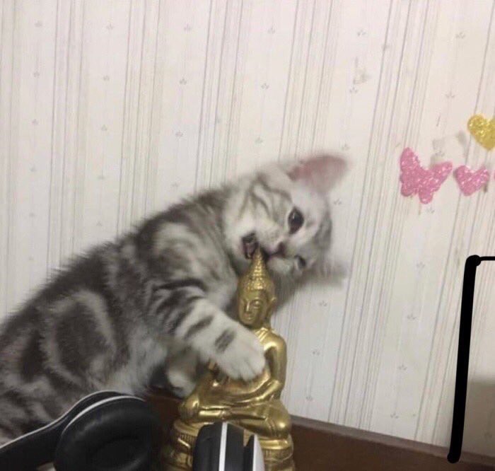 𓈒  ¯  ᚇ𓊪₊  ᱸ  𓈒  open ╸au  、🤿🗯  𓈒  ᱸ  ₊𓊪ᚇ  ¯  𓈒
𖠵𓊪₊  ᱸ  𓈒  ¯  ᚑ𓊪₊  <a href="/connofficialx/">พี่คอน close</a>  ₊𓊪ᚑ  ¯  𓈒  ᱸ  ₊𓊪𖠵
˹  𓈒  ¯  ᚐ𓎆‡  𓈒 #พื้นที่โปร   #โปรแฟม 𓈒  ‡𓎆ᚐ  ¯  𓈒