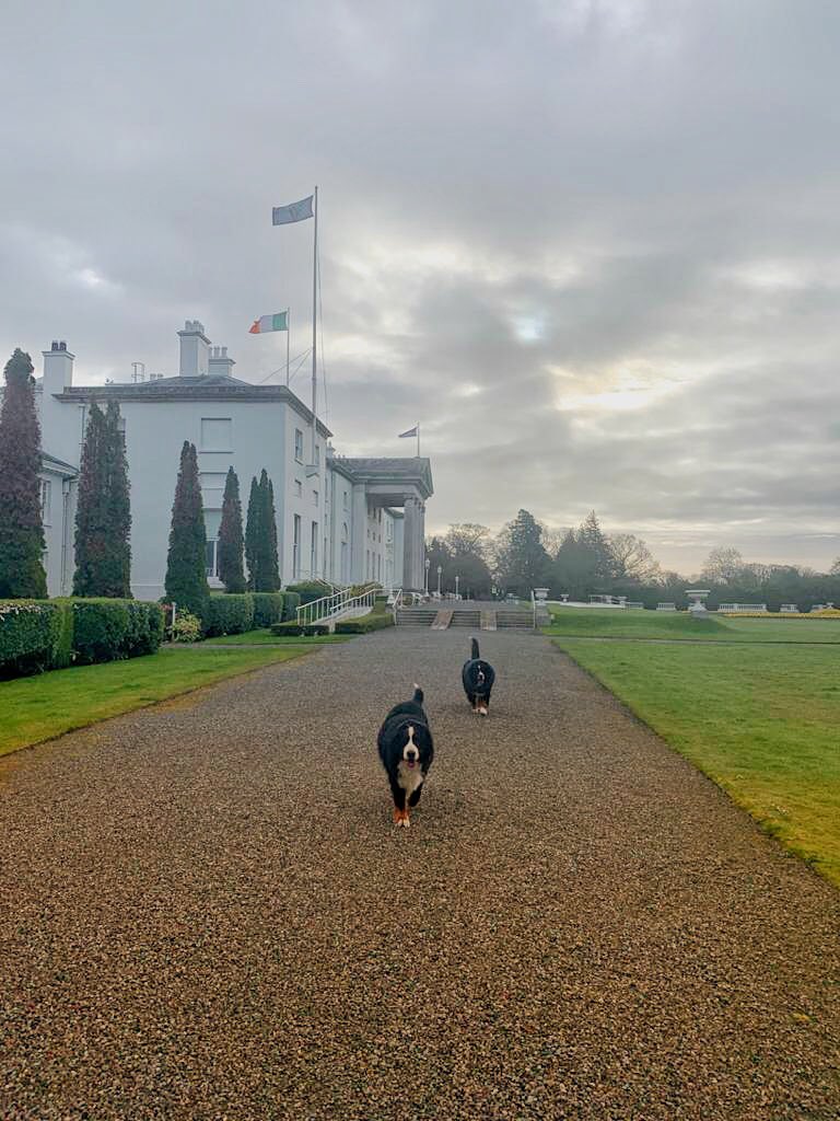 #LaFheilePadraig2020
#StPatricksDay