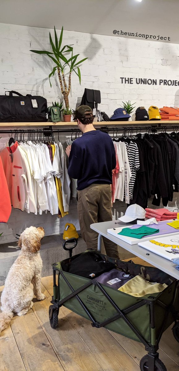 IG📱| Oh Wonder posted this picture on their story