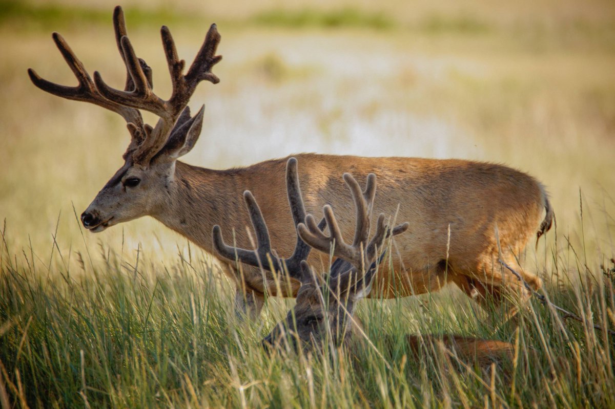 huntavid's tweet image. 