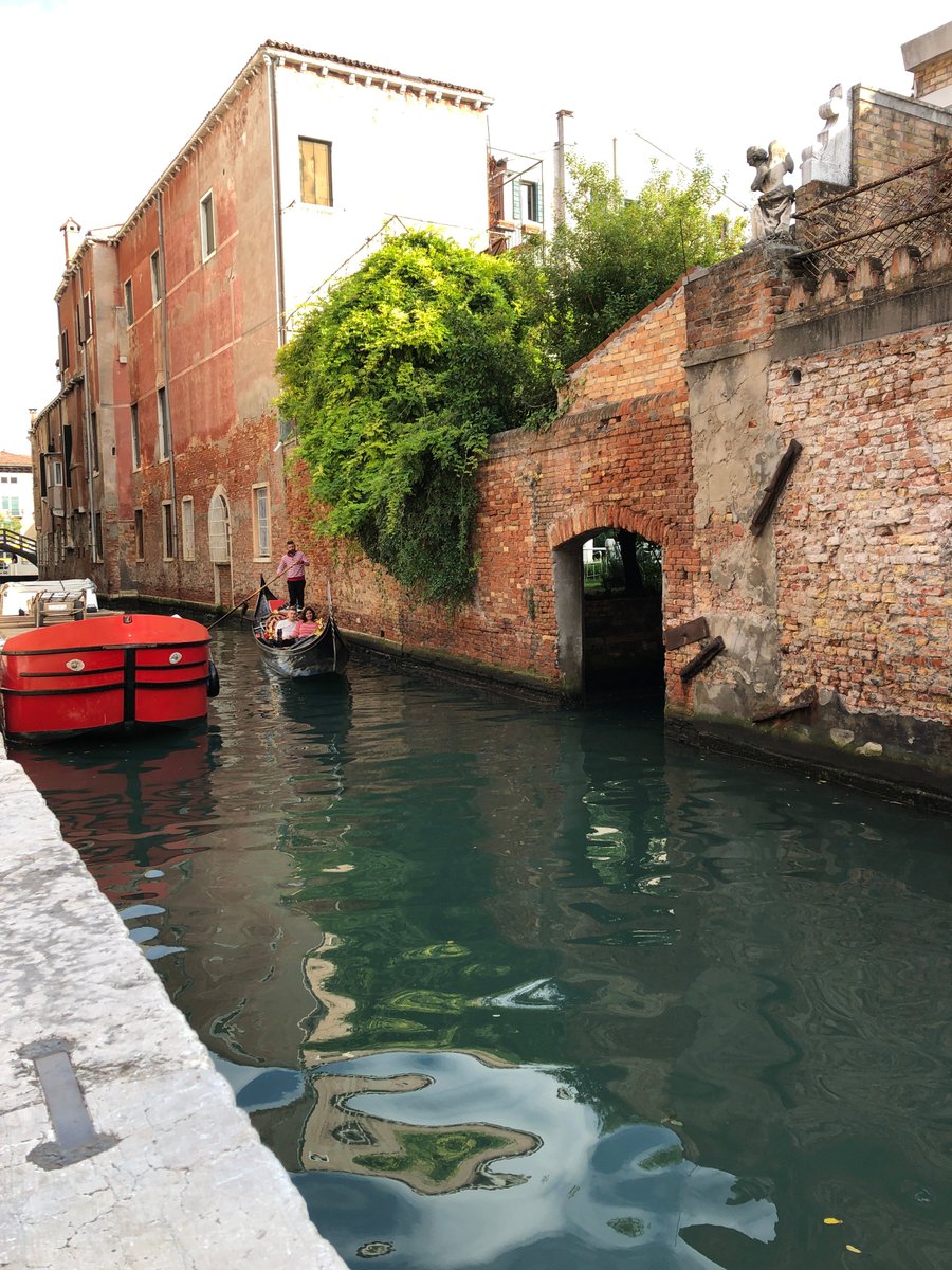 「ヴェネツィアの運河、常に水上をモーターボートや小舟が走っているので、プロペラで川」|ぬまがさワタリのイラスト