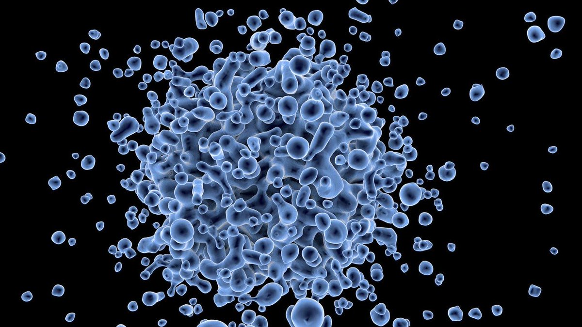 bhatti_pro's tweet photo. #FlattenTheCurve 

Es liegt in unser aller Verantwortung, die Wachstumsrate der Virusverbreitung zu reduzieren, damit unser Gesundheitssystem nicht zusammenbricht |
Aus diesem Grund werden wir als https://t.co/r42cayPOTS ab sofort folgende Maßnahmen ergreifen:
(1/3) https://t.co/le2JBP0PAO