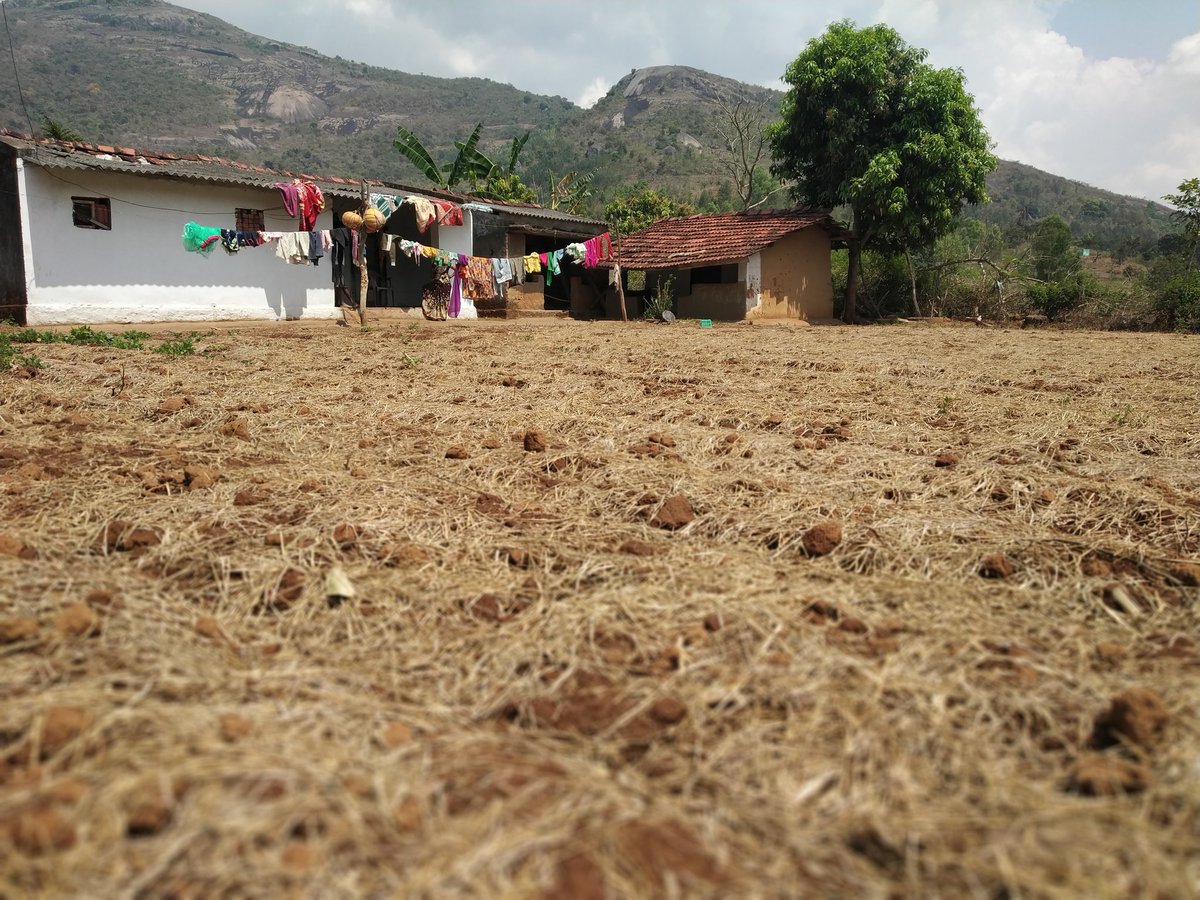 SanathKolli's tweet photo. #LeadFarmer Kurada Radha Garu from Allamputtu Village @itdapaderu She Practices @APZBNF from Last Year Now She is Going Forward Getting Vegetables from Kitchen Garden Throughout the Year #365DGC and Practicing #PMDS also. @vijaythallam @CWatsonICRAF @ap_agriculture @WHO @AgriGoI https://t.co/uhEUGMU3aD