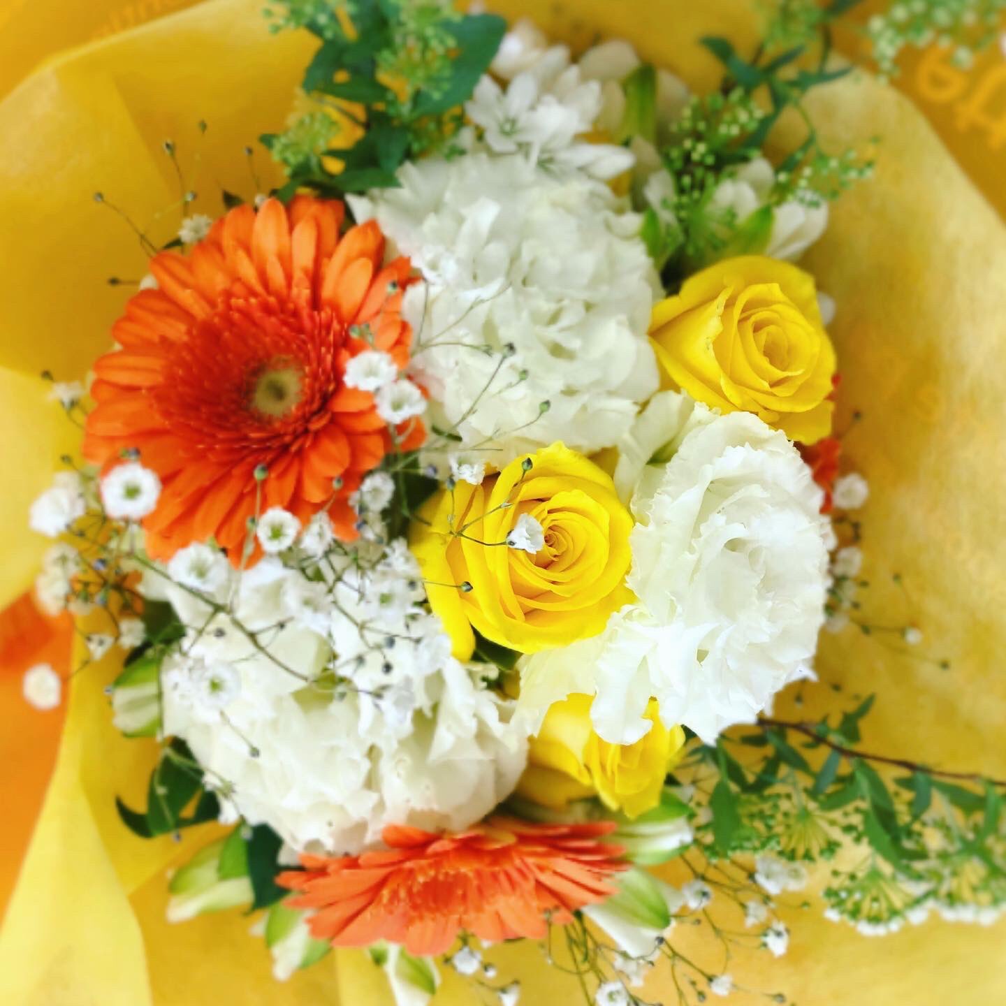 黒沢生花店 A Twitteren 退職祝いの花束 尼崎市 立花駅 立花市場 花屋 黒沢生花店 生花 花束 退職祝い ギフト お祝い カラー トルコキキョウ コデマリ カーネーション テマリソウ チューリップ かすみ草 レモンリーフ ガーベラ バラ