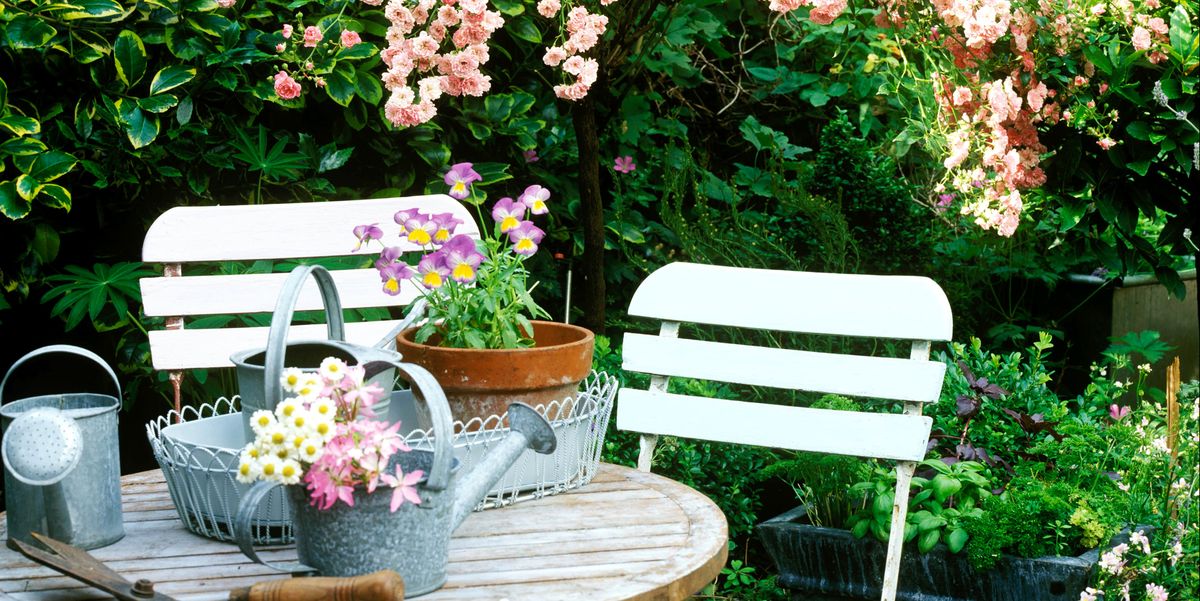 Oriyagroup's tweet photo. How to give your small garden the wow factor all year round?
https://t.co/CphXhz0kbw 
#garden #small #factor #house #advice #expert https://t.co/itpyqf2KhL