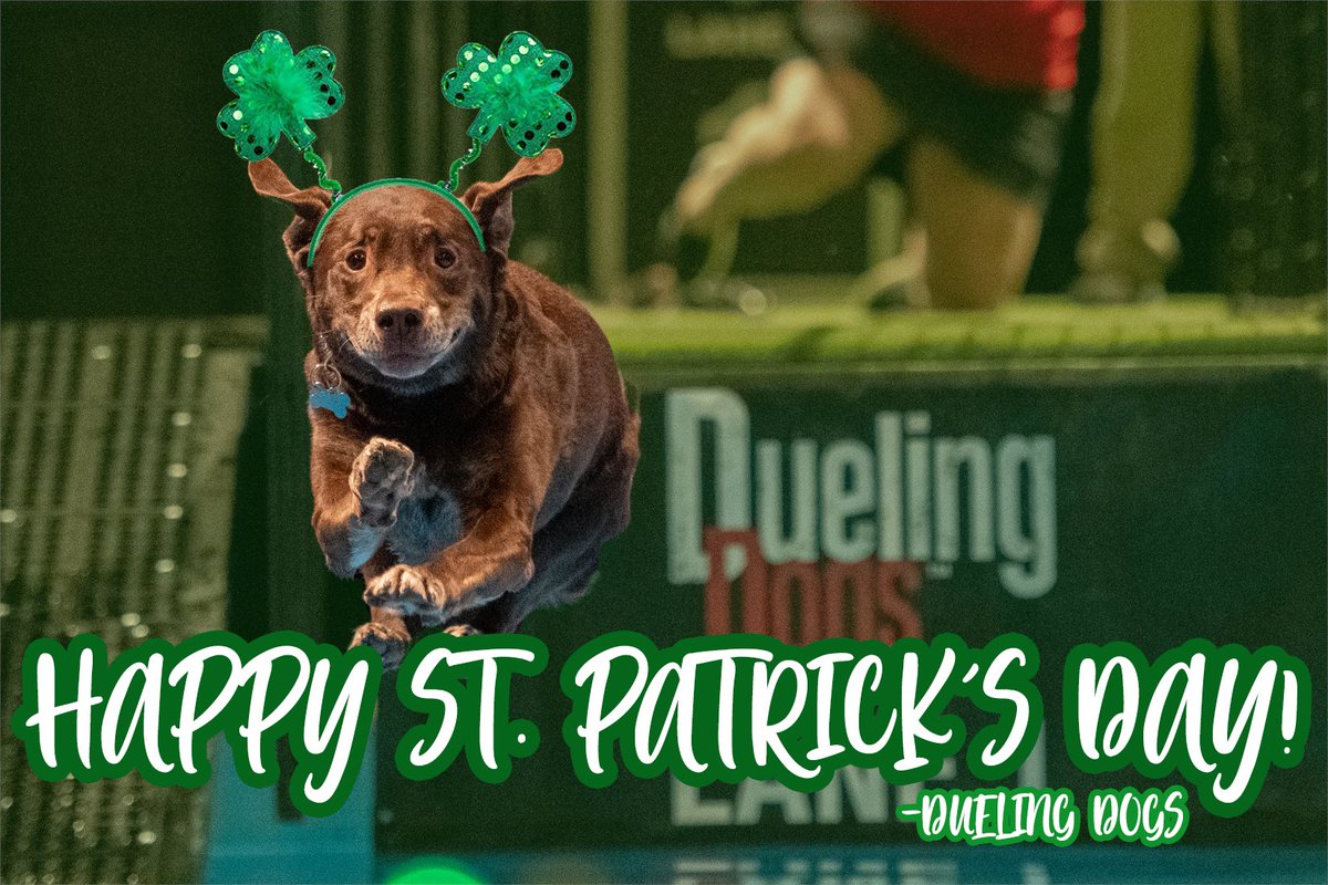 duelingdogs's tweet photo. Dueling Dogs wishes you all a Happy (and safe) St. Patrick's Day! 🍀🐶 https://t.co/WdMH9oFuFR