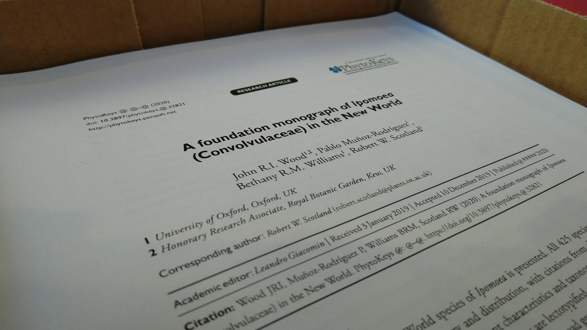 A foundation monograph of Ipomoea (Convolvulaceae) in the New World