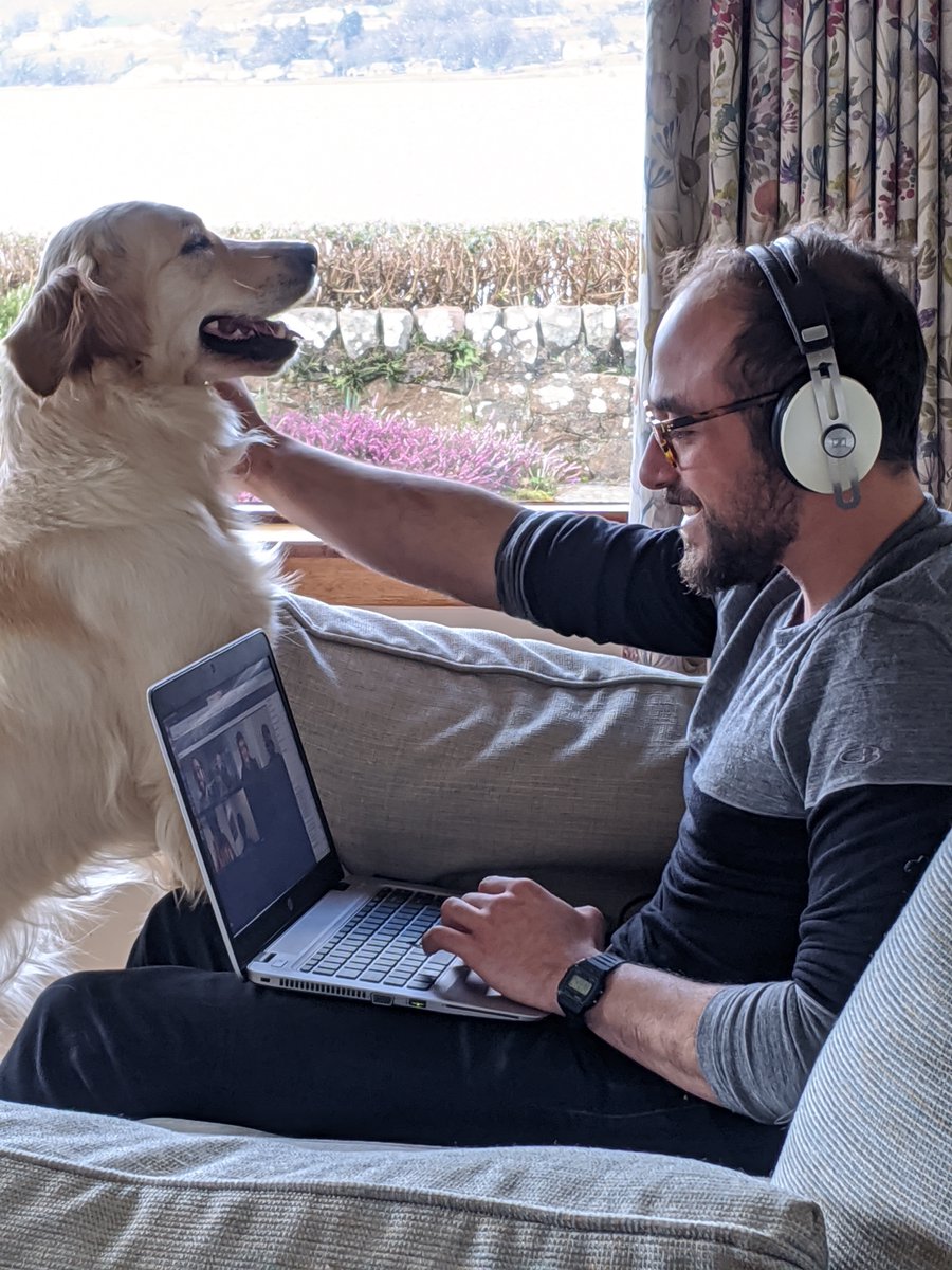 AmazonDevScot's tweet photo. Sometimes our four legged friends like to get involved with the action on Chime meetings! #workingfromhome #amazondogs https://t.co/J64wnXGRX6