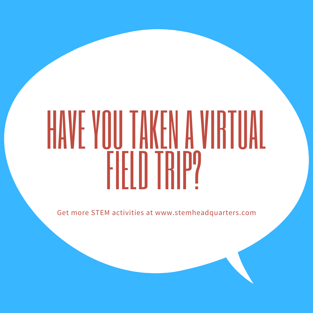 Dawn Saucier tweet media