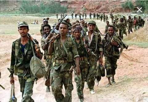 رفعو تمام الوعد عند الساعة الاولي بعد الاربعين
ادو صلاة الليل وانصرفو ثلاث كتائب من اربعين
فمضو وقول السر قد همسوه قولاً اربعين
فجميعهم او جلهم قد كانو دون الاربعين
يايها الوطن العزيز آسمعت بالميل المسمي اربعين؟ 
#ذكري_الميل_الاربعين 💜