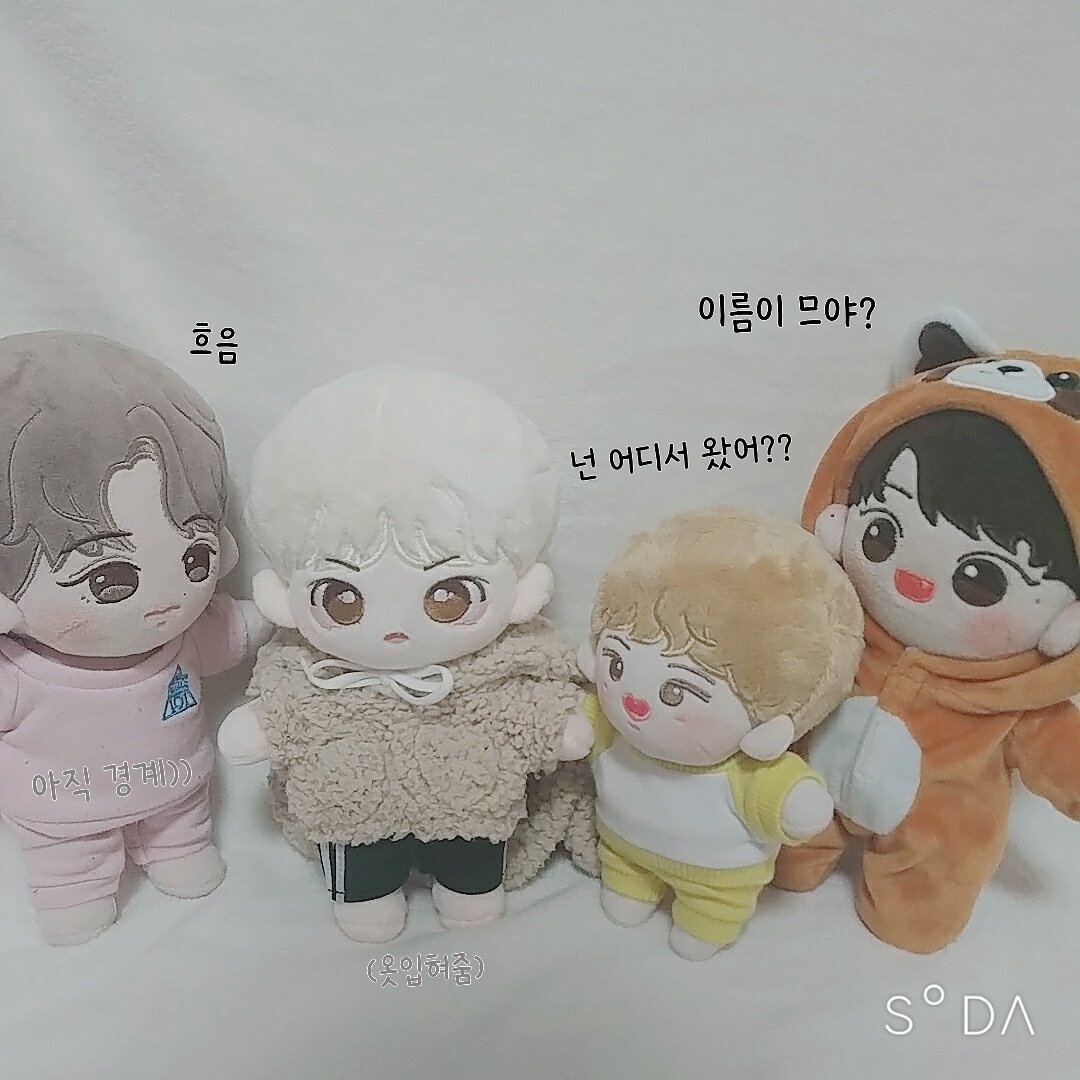 새로운 친구 치즈배배가 왔어요❕❕🧀❤ 얘들아..친구 와서 한마디도 못했잖아... 너희가 오자마자 그렇게 부담스럽게하면 어떡하니..😅 #치즈배배 #베우비 #꿀빵우니 #카키윙 #솜뭉치