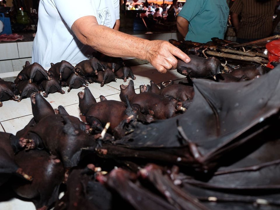 4 months ago a wild animal was trapped &amp; killed in a market in Wuhan. Today as a consequence, millions of people face serious illness &amp; death &amp; global economy is on the verge of collapse. We cannot allow this to happen again #COVID2019