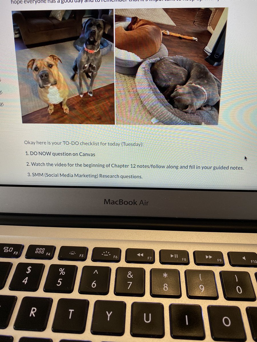 GruberMhs's tweet photo. Virtual school is in full effect! Teacher tip for Canvas: Use text headings as a way to organize the days’ lesson activities for students to quickly identify. Also I use checklists! Today I tried to make my students 😀 &amp; I shared some pics of my 🐶! #bused #MHSPowerOfOne https://t.co/WIHURjJih3